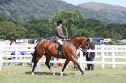 E42_1046 2026