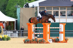 Equine America Gentlemen vh Veldhof