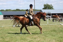 H146 World Breeds Ridden