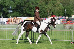C33_0347 2026