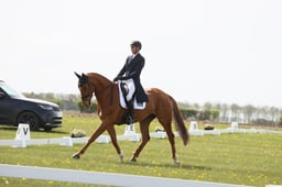 B15_0067 2026