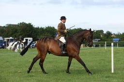 E36_0070 2026