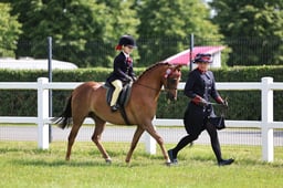 H169 HOYS Lead Rein Show Pony