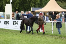 E31_0889 2026