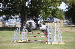 402 Gemma