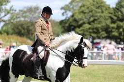 H138-137 RIDDEN COLOURED CHAMPIONSHIP