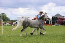 J36_7131 2026