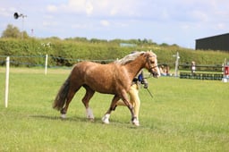 J36_7727 2026