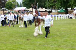 F44_0645 2026