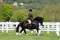 H19_0438 2026