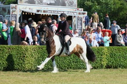 S61_0544 2026