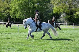 S19_8614 2026