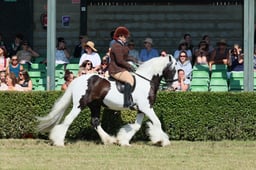 S61_0678 2026