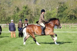 C19_0482 2026