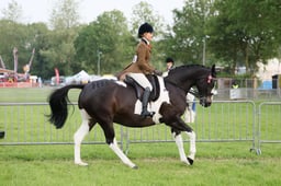 C34_0073 2026