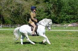 M19_0403 2026