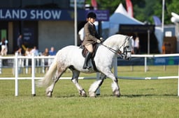 575 HOYS Ridden Highlands