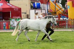 E34_3042 2026