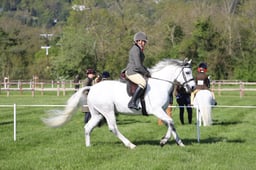C19_0477 2026