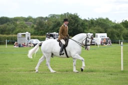 09-07 Ridden Cob Championship