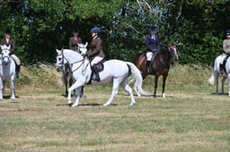 S60_0668 2026