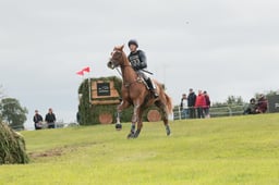 E39_4281 2026