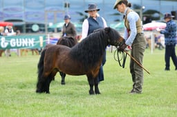 H44_0858 2026
