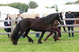 W29_0884 2026