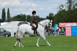 H36_9035 2026