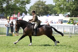 C34_1200 2026