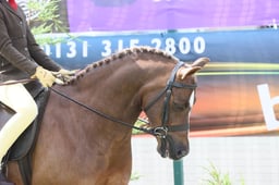 E46_6004 2026