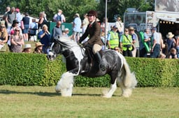 S61_0557 2026