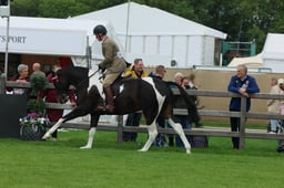 S28_8012 2026