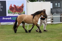 M44_0584 2026