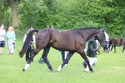 J36_6915 2026