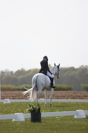 109 ESPOIR DE LA SIENNE