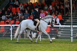 08 M&M JNR Novice Rider Large