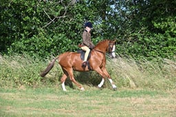 S60_0069 2026