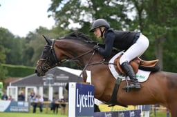 HOYS Grade C