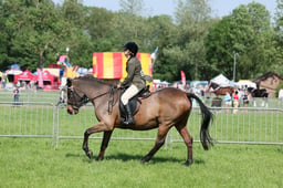 C33_0834 2026