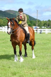 H4 HOYS Ridden Welsh D