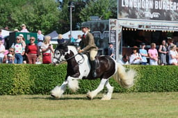 S61_0819 2026