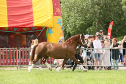 E34_2707 2026