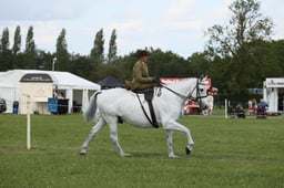 E36_2215 2026