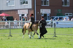 H33_4353 2026