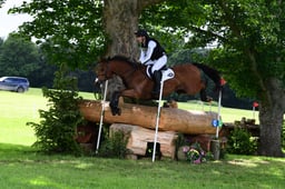 G39_3383 2026