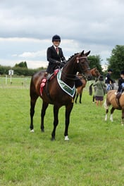 Side Saddle Championship