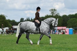 H36_8850 2026