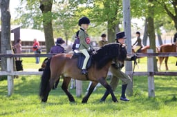 C19_1593 2026