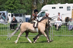 C33_1809 2026